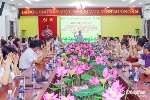Khắp nơi trong tỉnh chiều 15-1-2026