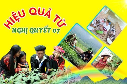 Hiệu quả từ Nghị quyết 07