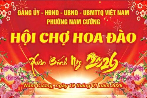 Phường Nam Cường sẽ tổ chức Hội chợ hoa đào xuân Bính Ngọ, năm 2026