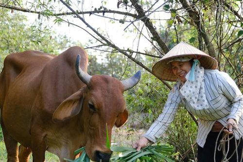 Bước chuyển giảm nghèo bền vững ở Ðạ Tẻh 3