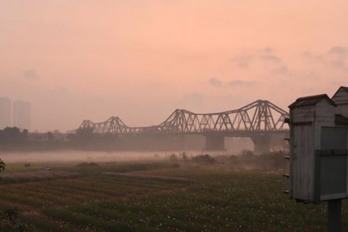 Hà Nội: Ngắm bình minh rực rỡ tại bến hoa Phúc Xá dưới chân cầu Long Biên
