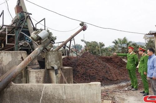 Phát triển cây cà phê bền vững gắn với bảo vệ môi trường