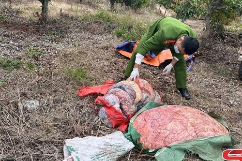 Bắt giữ hơn 340kg thực phẩm không rõ nguồn gốc, xuất xứ
