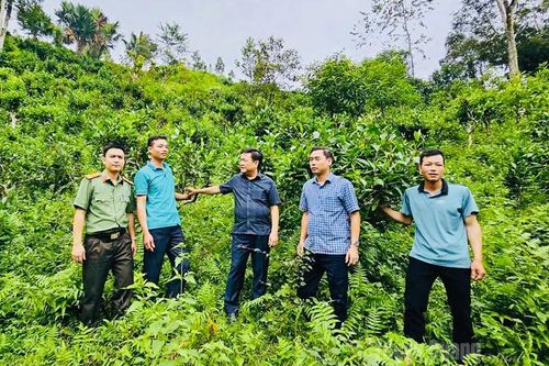 Linh hoạt triển khai nghị quyết