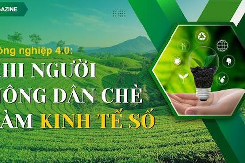 Nông nghiệp 4.0: Khi nông dân chè làm kinh tế số
