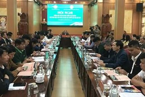 Tạo nền tảng mở rộng liên kết sản xuất nông nghiệp hữu cơ