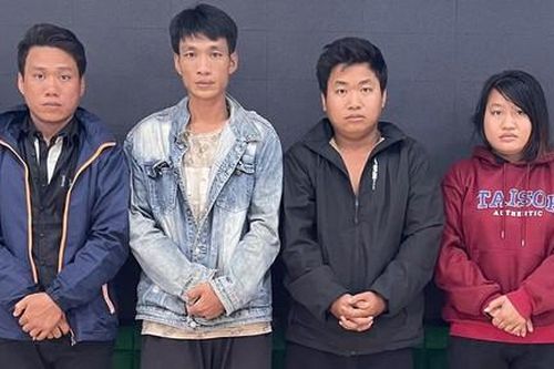 Cuối năm đi chùa... trộm rùa phóng sinh