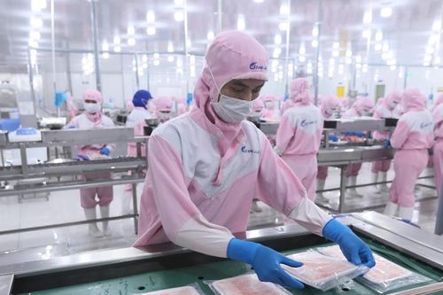 Xuất khẩu thủy sản năm 2026: Đối mặt nhiều thách thức