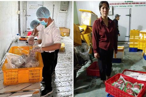 TP Hồ Chí Minh: Triệt phá đường dây làm giả thịt đà điểu, dê, nhím từ thịt heo, thu lợi hàng tỷ đồng