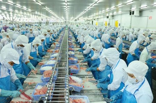 Con Chủ tịch Vĩnh Hoàn chi hàng trăm tỉ đồng mua 5,7 triệu cổ phiếu VHC