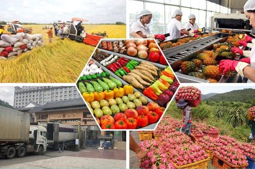 Hỗ trợ nông dân xây dựng thương hiệu, nhãn hiệu hàng hóa nông sản