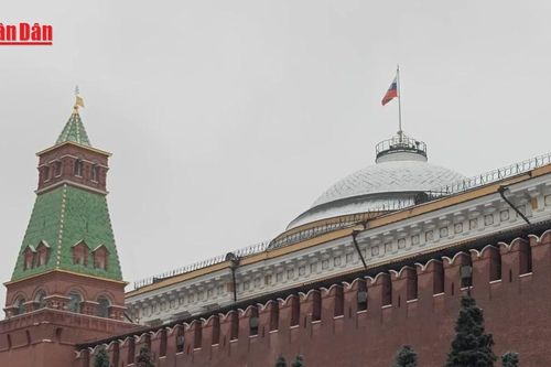 Điện Kremlin ủng hộ Nhà Trắng, cáo buộc Kiev cản trở hòa bình
