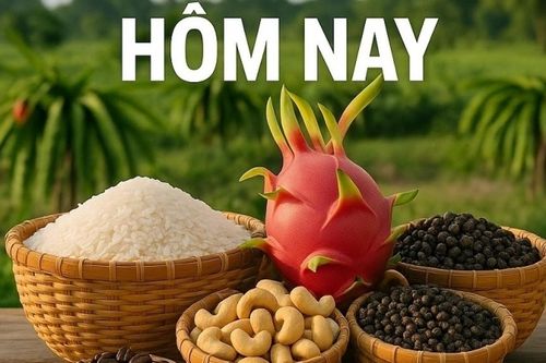 Giá nông sản hôm nay 16/1/2026: Giá cà phê hết giai đoạn 'tăng nóng', Trung tâm giám định hàng hóa xuất nhập khẩu tại Quảng Ninh được công nhận