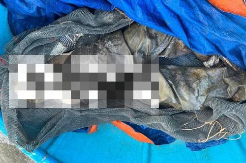 Hà Tĩnh: Phát hiện thi thể nam giới đang phân hủy trôi dạt trên biển