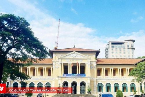 272 vụ khởi kiện tại Tòa án bảo vệ người lao động