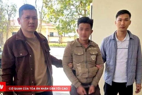 Bắt giữ nghi can gây ra vụ cướp giật rồi bỏ trốn