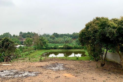 Nộp nửa tỷ chuyển đất lên thổ cư mà không được tách thửa, người dân xin hoàn tiền