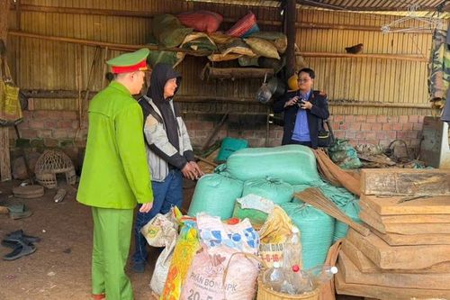 Viện kiểm sát phối hợp bắt giữ đối tượng cướp giật tài sản táo tợn