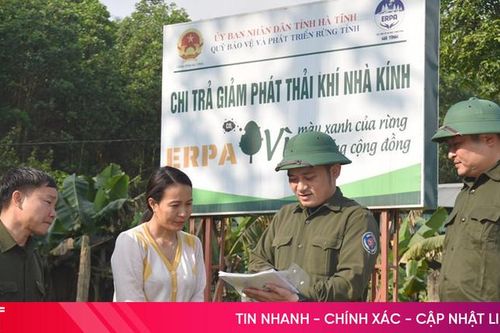 Làm giàu rừng tự nhiên bằng 159 tỷ đồng do ERPA chi trả