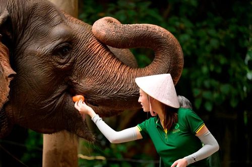 Lương Linh khép lại hành trình từ 'giúp việc quốc dân' đến bài học chữa lành