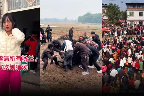 Ngôi làng ở Trung Quốc chật kín người vì tiệc mổ heo 'gây sốt' mạng xã hội