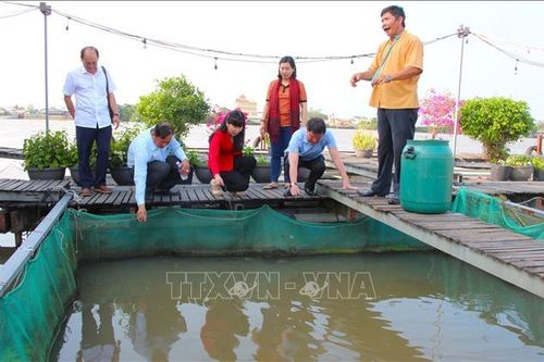 Gỡ vướng hạ tầng, cơ chế cho mô hình du lịch cộng đồng Cồn Sơn