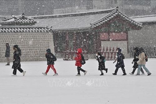 Hàn Quốc trải qua mùa Đông 'lạ'