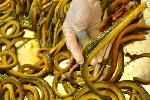 Đặc sản xứ Nghệ 'bổ hơn sâm': Thứ quà dân dã khiến ai thử cũng mê
