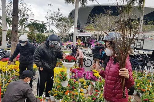 Đà Nẵng: Xử lý việc sang nhượng trái phép các lô bán hoa Tết
