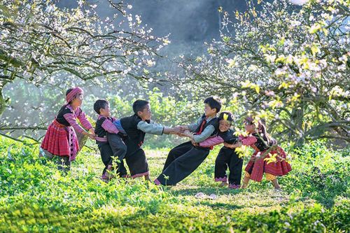 Những điểm đến yên bình cho người ngại chen chúc trong dịp Tết này