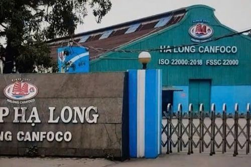 Toàn cảnh khủng hoảng Đồ hộp Hạ Long: Sự sụp đổ của một 'tượng đài' thực phẩm và bài học quản trị đắt giá