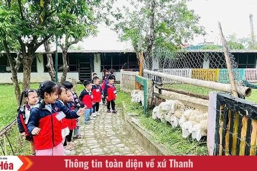 Cuối năm, rộn ràng du lịch trải nghiệm
