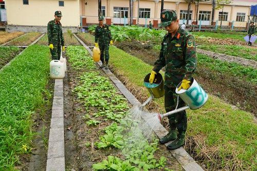 Từ bó rau xanh đến hũ gạo nghĩa tình