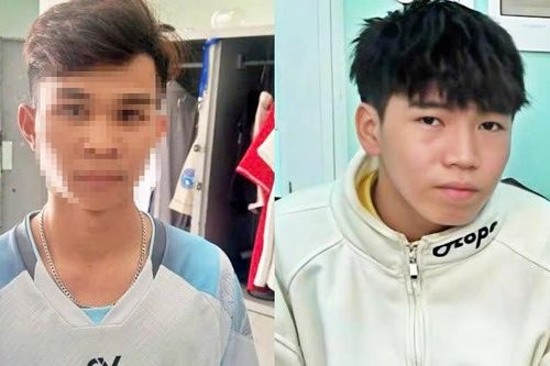 Rủ cháu họ trộm cắp tài sản của cha mẹ