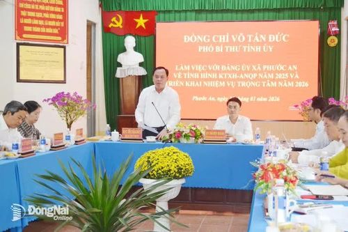 Chủ động đề xuất cơ chế, chính sách phù hợp để địa phương phát triển