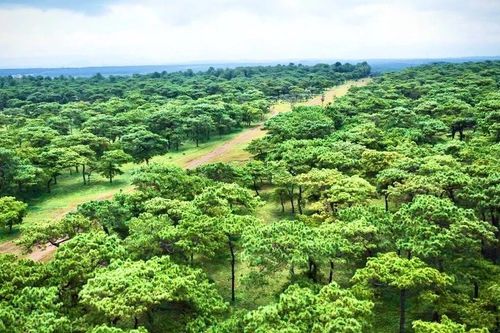 Gia Lai chấp thuận nhà đầu tư thực hiện dự án Sân golf Đak Đoa