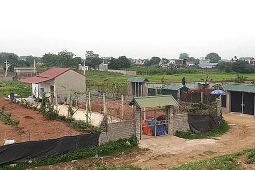 Xây nhà trên đất khai hoang có được xem xét cấp Giấy chứng nhận?