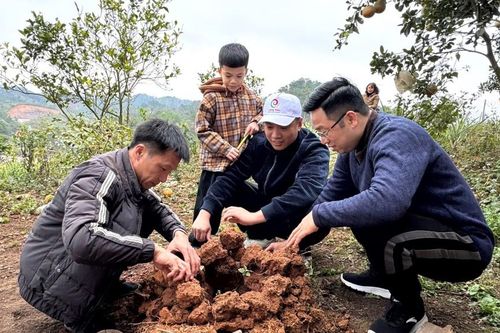 Đập lò - Hơi ấm đất quê