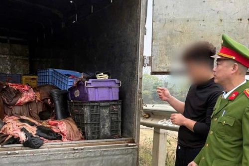Công an Phú Thọ thu giữ 1,2 tấn sản phẩm động vật không đảm bảo vệ sinh thú y