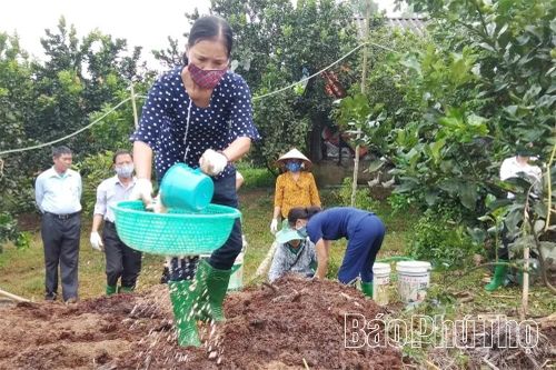 Tăng cường sử dụng phân bón hữu cơ để bảo vệ đất