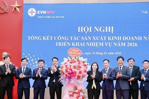 Công ty Điện lực Phú Thọ triển khai nhiệm vụ năm 2026