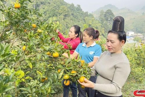 Phát huy hiệu quả nguồn vốn đầu tư vùng đồng bào dân tộc thiểu số