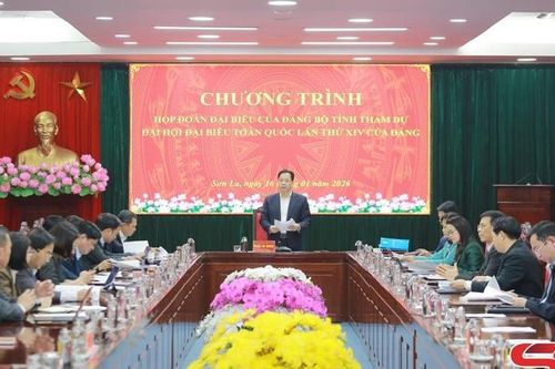 Họp Đoàn đại biểu của Đảng bộ tỉnh tham dự Đại hội đại biểu toàn quốc lần thứ XIV của Đảng