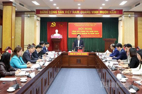 Ban Tổ chức Tỉnh ủy triển khai nhiệm vụ công tác năm 2026