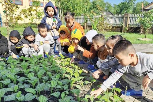 Vun đắp những khu vườn của bé