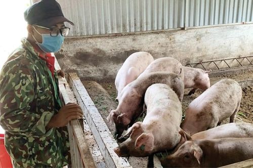 Nông nghiệp hữu cơ, tuần hoàn tạo sinh kế bền vững