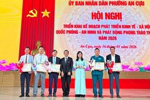 Phường An Cựu: Thu ngân sách vượt kế hoạch, tạo đà phát triển vào năm 2026