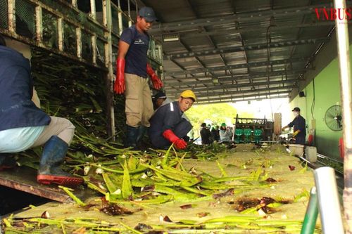 Doanh nghiệp nông nghiệp: Kiên định với ESG để không bị loại khỏi 'cuộc chơi'