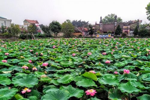 Hà Nội giao 4,2 ha đất gần khu đô thị Olympic cho Ngọc Tín Holdings