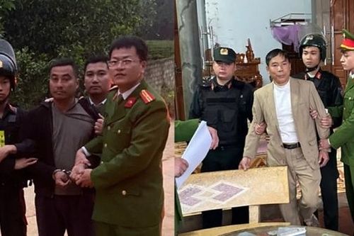 Ngang nhiên hủy hoại cây keo giống trên đất của Tổng Công ty Lâm nghiệp Việt Nam